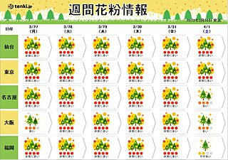 花粉情報　今週は連日「大量飛散」　九州～関東はヒノキがピーク　4月も万全な対策を