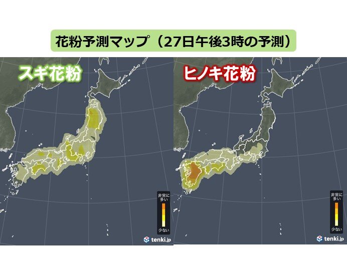 九州でヒノキ花粉の飛散が「非常に多い」
