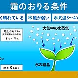 霜注意報　真冬に発表されない理由は?