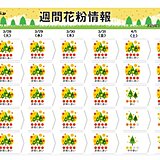 週間花粉情報　明日から再び九州～関東、東北の広範囲で「非常に多い」　ヒノキ最盛期