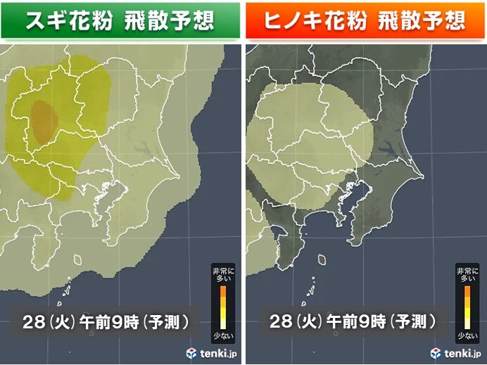 多摩地区　昨年比で約3倍の花粉