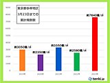 関東　あすからまた花粉が大量飛散　すでに昨年比で約3倍の量　お花見も万全な対策を