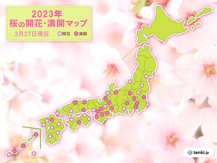 午前の富山、名古屋、津の満開に続き、午後は大阪、奈良、岡山、松江、福井、水戸でも満開　新潟は開花