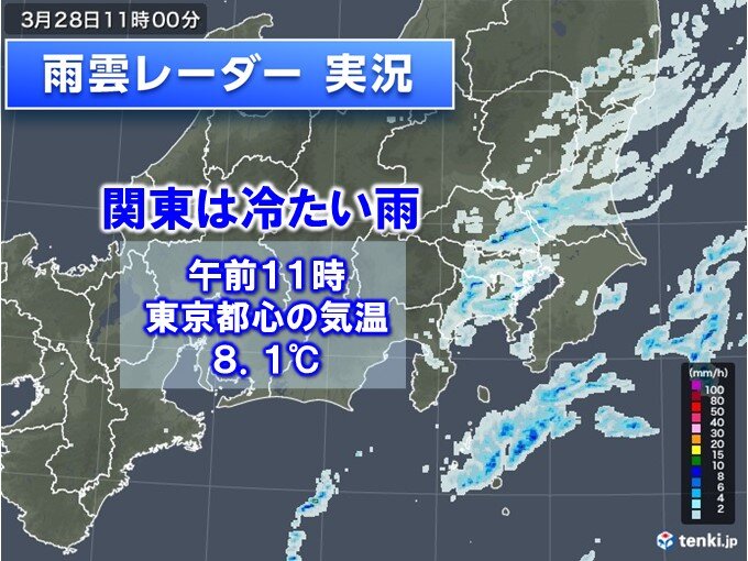 関東に雨雲　都心も朝から本降りの雨　午前11時の気温8℃台　冷たい雨はいつまで?