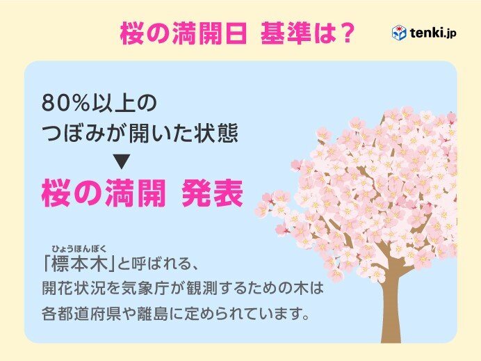 桜の満開日　基準は?