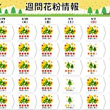 花粉週間　九州～東北で連日非常に多い　関東も雨上がりで大量飛散　新年度も対策を