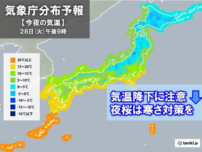 夜桜見物は暖かく
