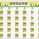 今シーズンの花粉いつまで?　まだ大量飛散だが東京は折り返し　予測値の5割以上飛散