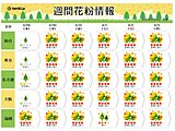 この先の花粉情報　あす30日から「非常に多い」日が続く所が多い　ピークいつまで?