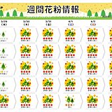 この先の花粉情報　あす30日から「非常に多い」日が続く所が多い　ピークいつまで?