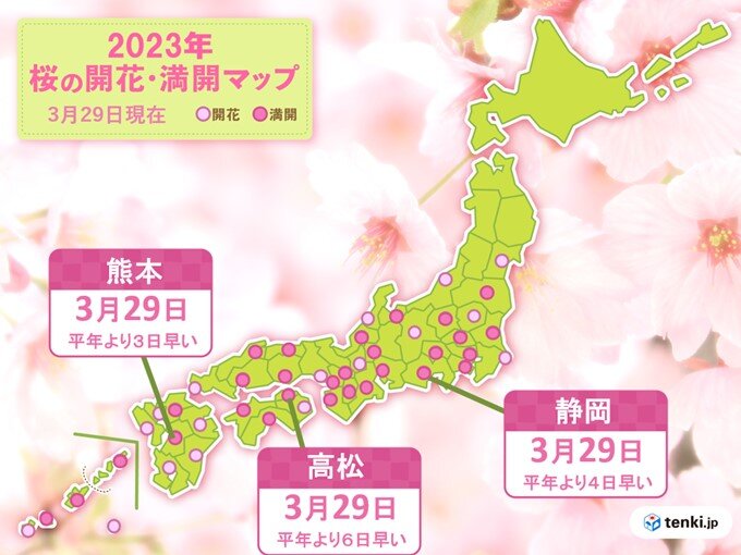 静岡、高松、熊本で桜満開　いずれも平年より早い