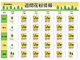 花粉情報　31日から4月4日は「非常に多い」所が多い予想　万全な対策を