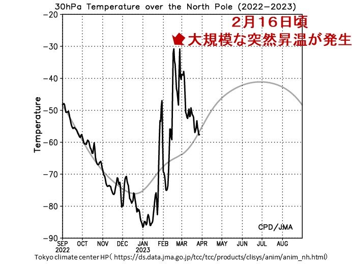 大規模な成層圏突然昇温　3月の記録的な高温の一因