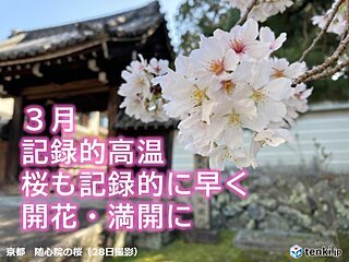 記録的な暖かさだった3月　桜は開花と満開の最早記録が続出　4月も暖かさ続く?
