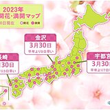 各地で春本番の暖かさ　宇都宮と金沢、長崎で桜満開　夜桜見物に雨具が必要な場所は?