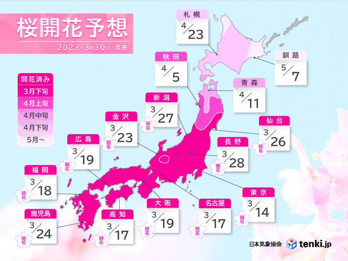 4月下旬にかけて北日本中心に高温傾向　桜の開花や満開も記録的に早く