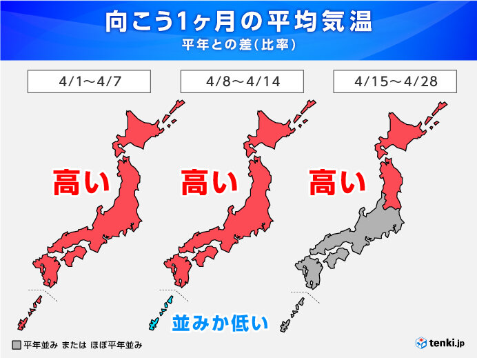 1か月　4月中旬にかけて高温予想　北日本は4月下旬も高め　桜前線は急ピッチで北上