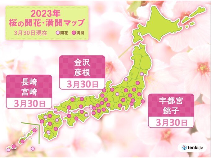 関東全地点で桜満開　平年より7日以上早く