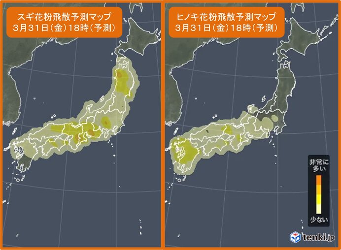 31日の花粉情報　スギに加えてヒノキが本格飛散　対策を　いつまで注意が必要?