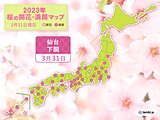 仙台で桜が満開　過去最も早く　下関も満開に　今週末は広くお花見日和