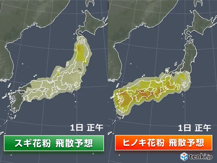 今週末のお花見も花粉対策を