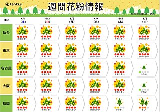 週間花粉情報　九州から関東はヒノキがピーク　土日の飛散量は広く「非常に多い」予想
