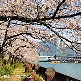 関西　各地で桜満開　土曜日はお花見日和に　夏日に迫る気温の所も