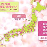 午後も桜の便り続々　新潟・神戸・徳島・佐賀で満開  　山形は過去最も早く開花