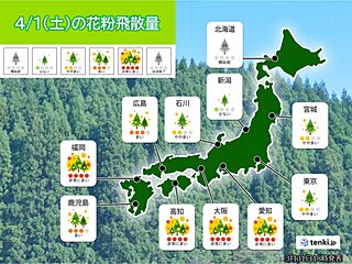 きょう1日花粉情報　九州から東海は「非常に多い」　4月に入っても万全の花粉対策を