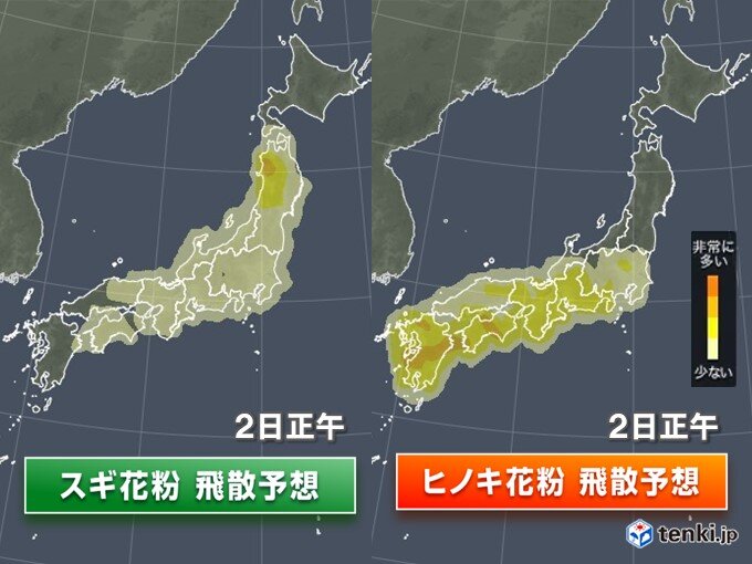 花粉情報　関東以西　スギはピーク越え　ヒノキは大量飛散