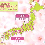 桜満開　長野では過去2番目に早く　大分は開花から10日後