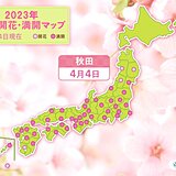 秋田で桜開花　観測開始以来最も早い　桜前線は過去最速で東北北部を北上中