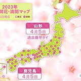 山形と鹿児島で桜満開　山形は過去最早タイ　鹿児島は平年並み