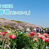 きょう5日は二十四節気「清明」　清々しい季節は紫外線が強まる季節　曇りでも対策を