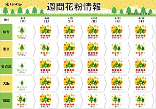 週間花粉情報　7日は九州で「多い」　土日は再び広く「非常に多い」予想　終息いつ?