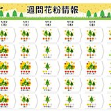 花粉シーズン終盤も　東海などまだ「非常に多く」飛散する日あり　終了時期はいつ?