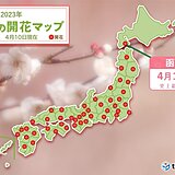 函館でウメ開花　統計史上最も早い開花に　ウメの開花も北海道に到達!