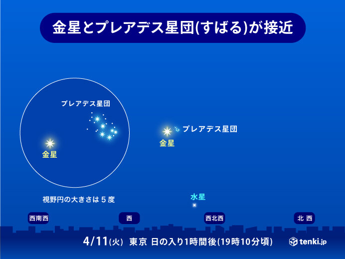 きょう11日　金星とプレアデス星団(すばる)が最接近　見られる所は?