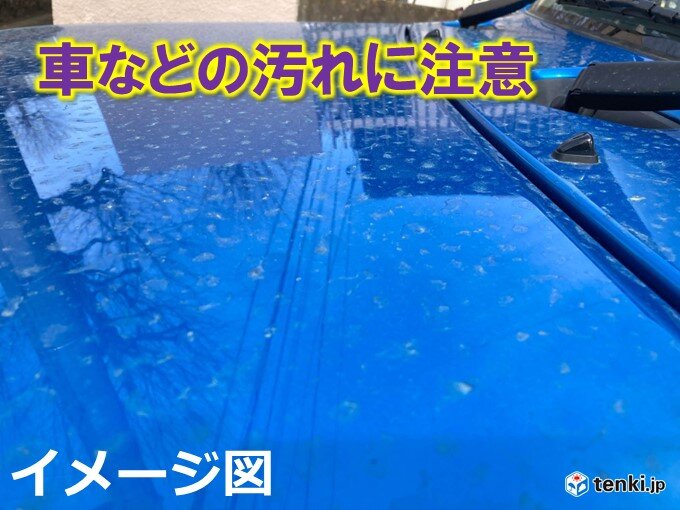 車などの汚れに注意