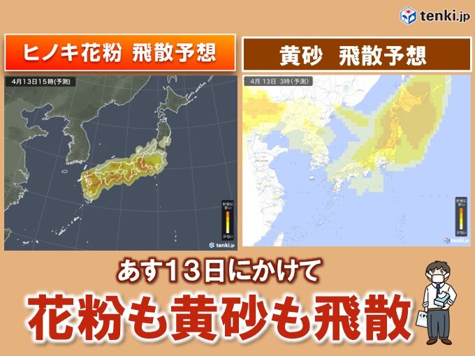 あす13日にかけて花粉が多く飛散する所も　黄砂の影響も続く　花粉症の悪化に注意