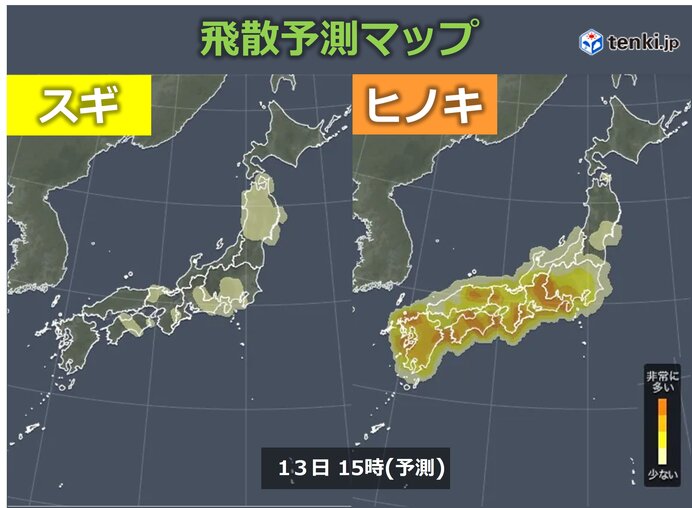 ヒノキ花粉が大量飛散　黄砂にも注意
