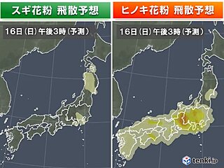 16日の花粉情報　東海や関東で飛びやすい　西日本は再び黄砂飛来　万全の対策を