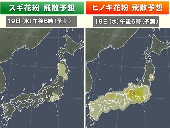 19日の花粉情報　東海や関東でヒノキ花粉が多く飛散　対策はいつまで必要?