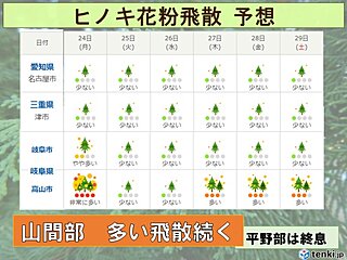 東海地方　ヒノキ花粉　平野部は終息も　岐阜山間部は多い飛散続く