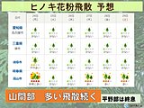 東海地方　ヒノキ花粉　平野部は終息も　岐阜山間部は多い飛散続く