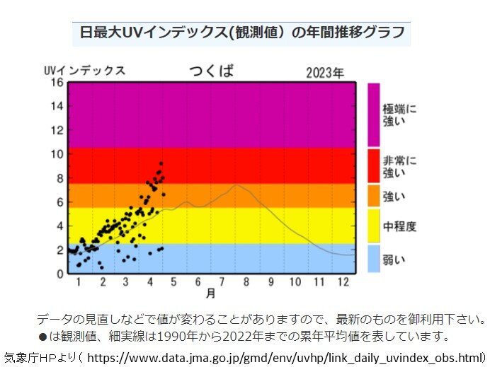 強まる紫外線　つくばのUVインデックス　既に盛夏の平年値を超える日も