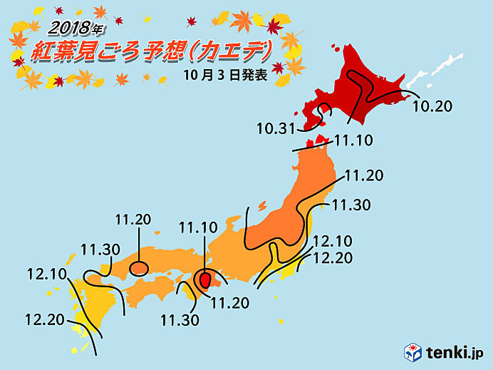 紅葉狩りなどはタイミングが重要