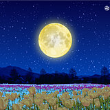 今夜は「満月」　6日未明～明け方「半影月食」　GWの天体ショーが楽しめる所は?