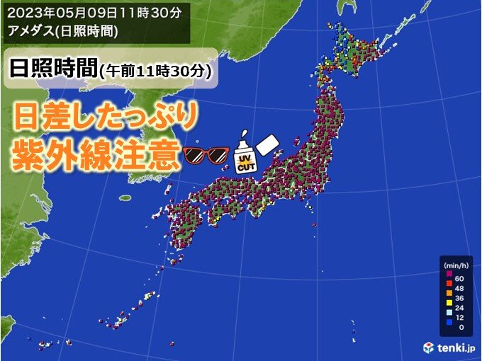 日照たっぷり　少しの外出でも紫外線対策を