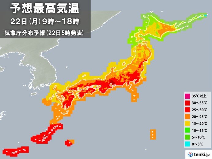 ムシムシする所も